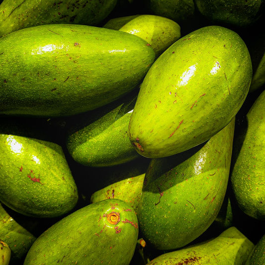 Bacon avokado